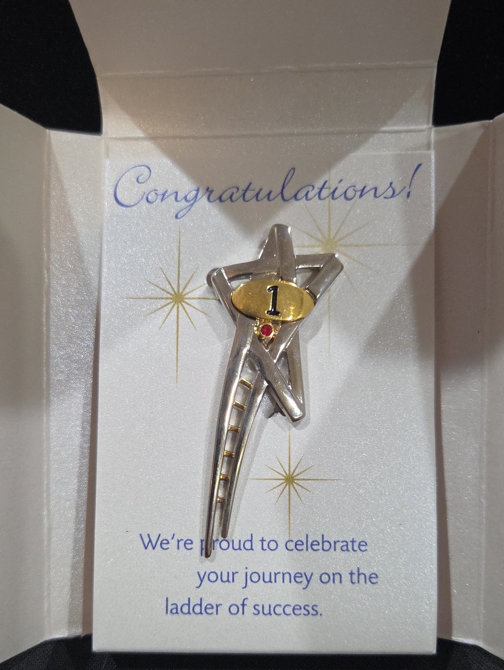 MARY KAY RISING STAR PIN